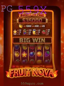 Descubra o Fascinante Mundo de FruitNova com a Palavra-chave Mágica 559X